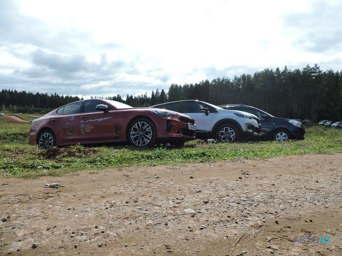 Автомобилисты России: какие они и на чем ездят?