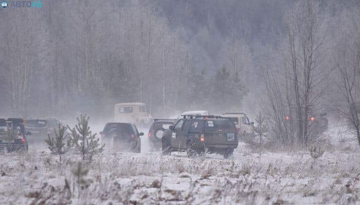 В лесах и полях Кировской области искали снежного человека