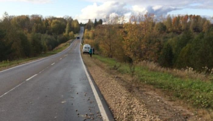 В Лебяжском районе пенсионер на «четырке» улетел в кювет