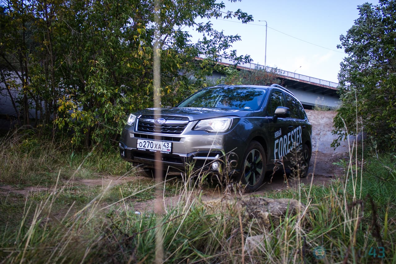 Subaru Forester прошел боевое крещение на бездорожье у нового моста