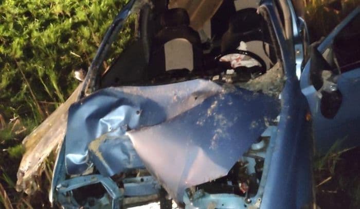 В Кировской области дикие животные начали бросаться под машины