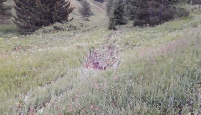 В Уржумском районе мужчина на «семерке» вылетел в кювет: пассажир погиб