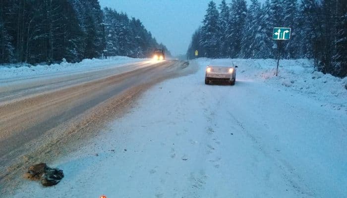 За вчерашний день двое пешеходов погибли под колесами автомобилей