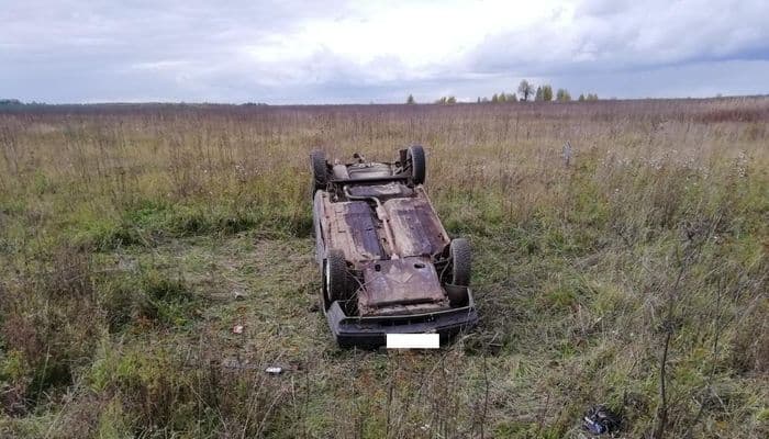 В Кикнурском районе пьяный водитель на «девятке» улетел в кювет