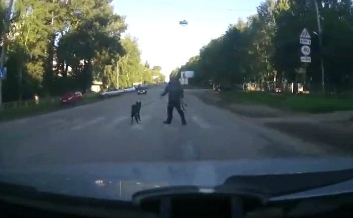 Водитель выложил в Интернет видео, как чуть не сбил пешехода