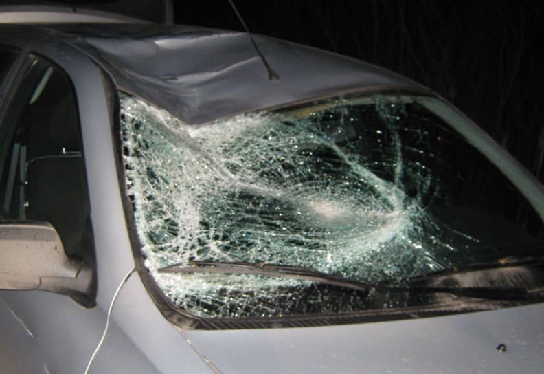 Сотрудник ДПС насмерть сбил велосипедиста