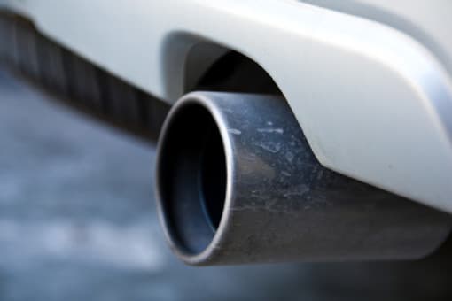 «Жрут» не по паспорту