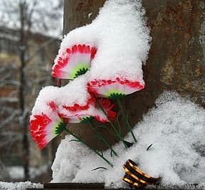 ДТП на Милицейской: оглашены первые результаты экспертизы