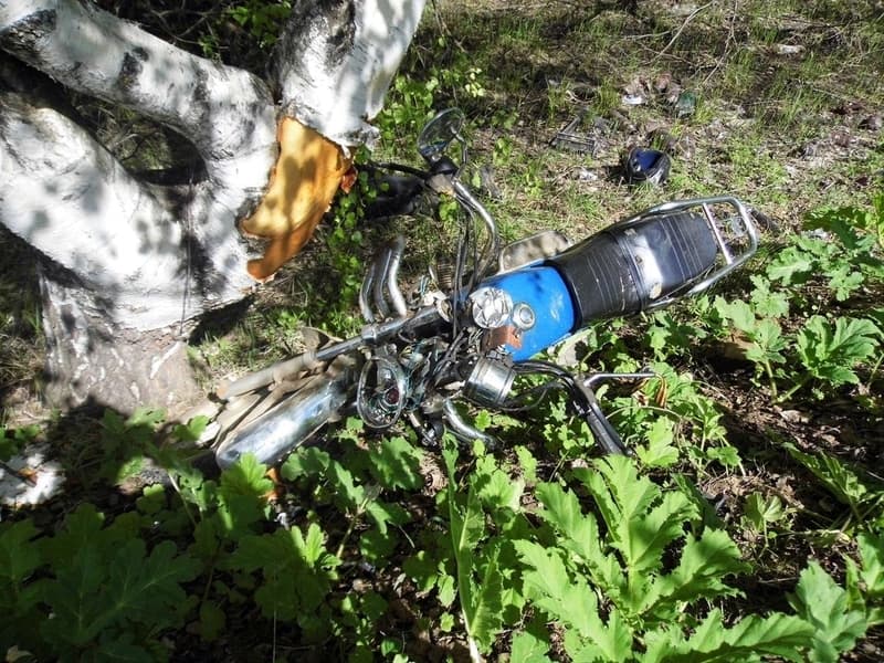 В Яранском районе водитель мопеда врезался в дерево и погиб