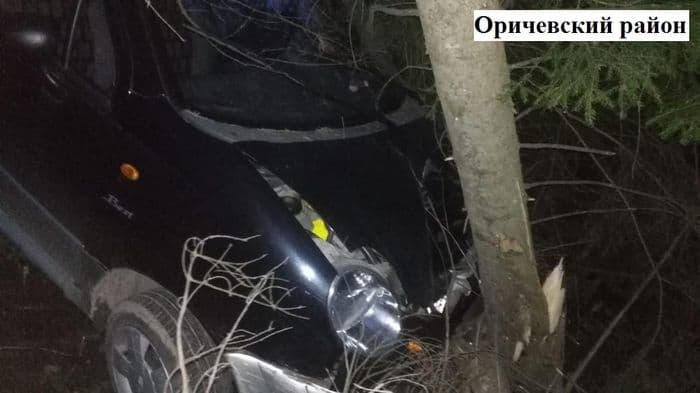 В Оричевском районе пьяная дама на «Матизе» врезалась в дерево  
