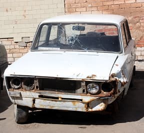 Вывоз «подснежников»