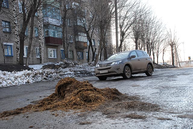 В Слободском ямы на дорогах «починили» навозом
