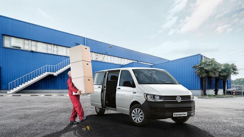 Сюрпризы зимы. Объясняем на бананах