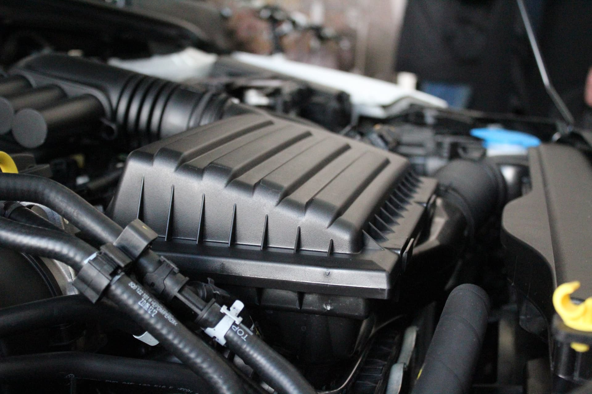 Фотогалерея