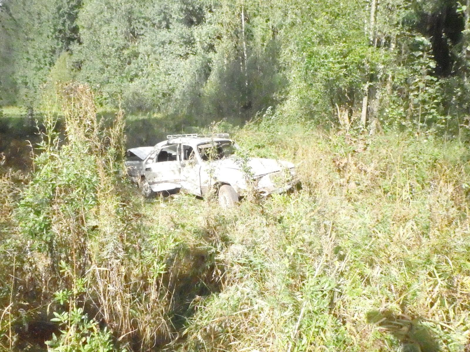 Пьяный водитель «Волги» разбил машину о дерево