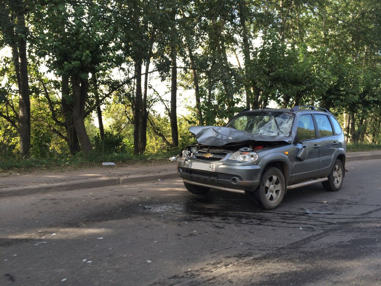 В Кирове на Производственной мужчина на Niva сбил лося