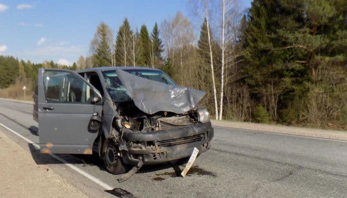 Водитель на минивэне сбил лося: 3 человека получили травмы