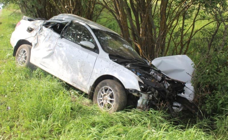 В Кировской области Volkswagen вылетел с дороги в дерево: есть пострадавшие