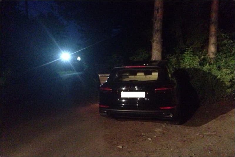 Женщина на Porsche испытала на прочность дерево