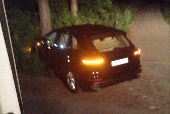 Женщина на Porsche испытала на прочность дерево