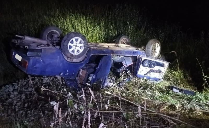 В Кировской области бесправник на "семерке" сбил лося и вылетел в кювет