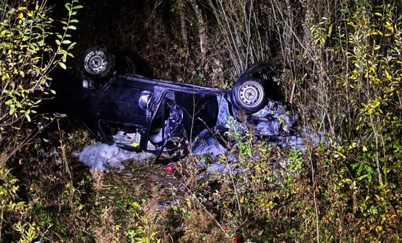 В Кирове после ДТП с лосем "десятка" вылетела в кювет и загорелась