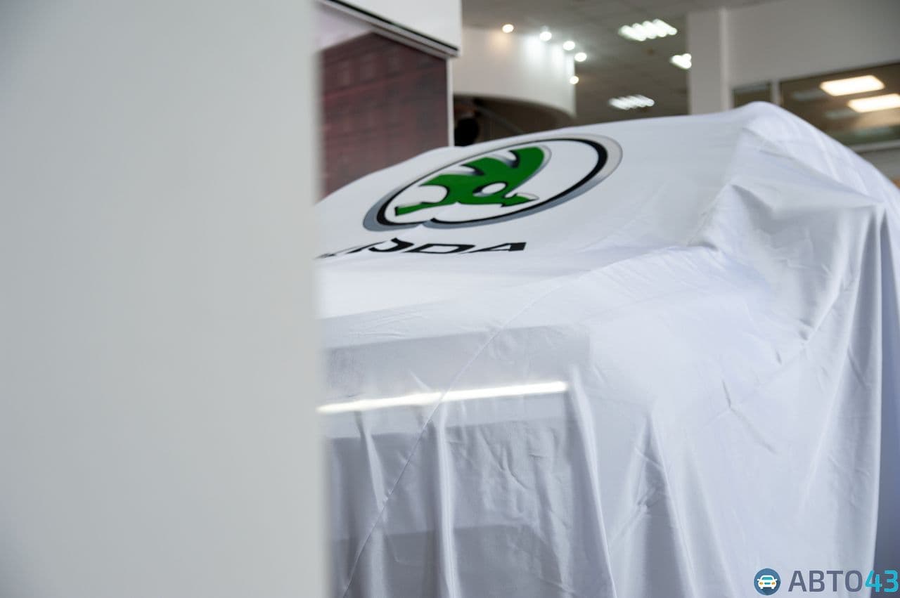 В Кирове состоялась презентация кроссовера ŠKODA KAROQ: подробности и фото новинки