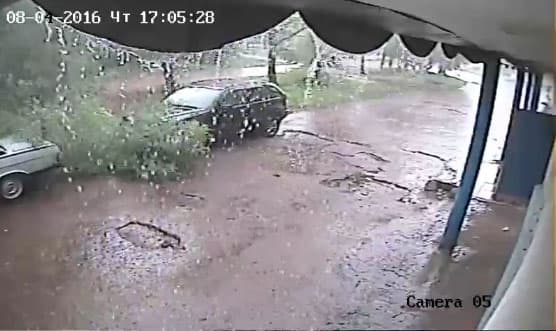  Чудеса природы: сломанное ветром дерево упало между двумя припаркованными авто