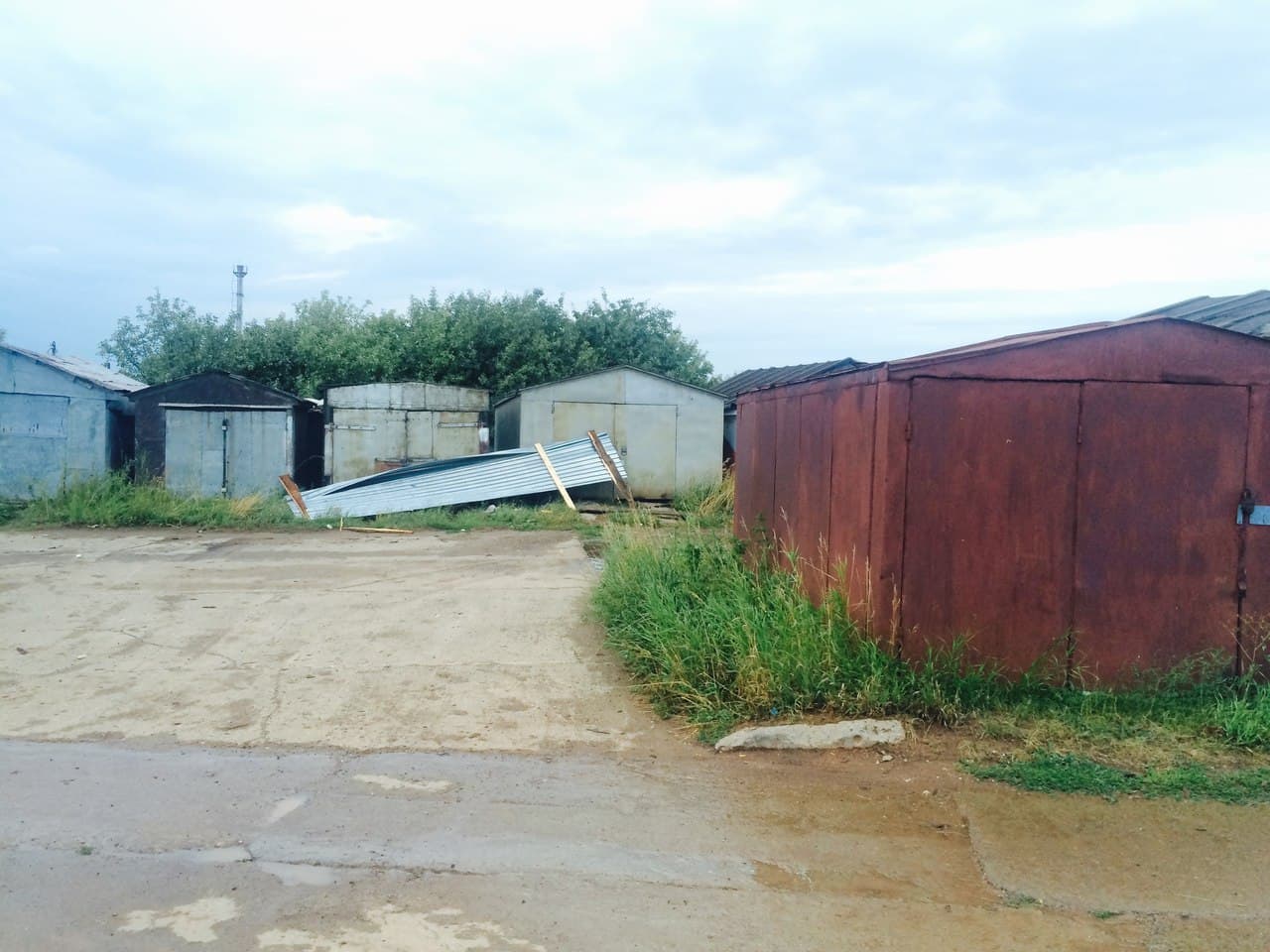  Чудеса природы: сломанное ветром дерево упало между двумя припаркованными авто