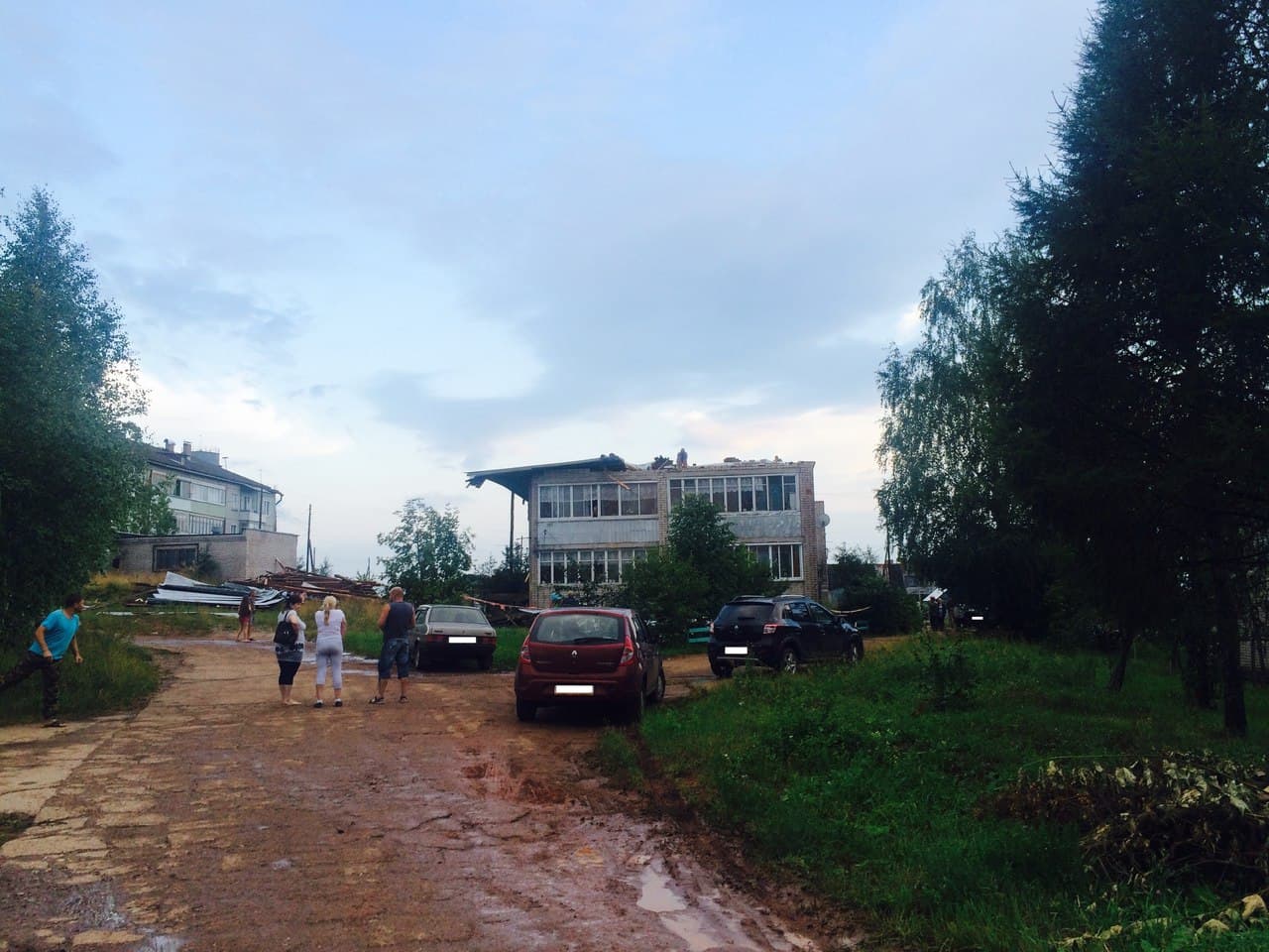  Чудеса природы: сломанное ветром дерево упало между двумя припаркованными авто