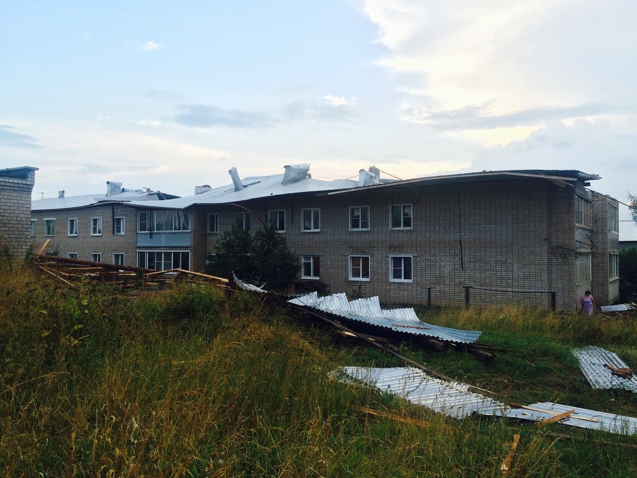  Чудеса природы: сломанное ветром дерево упало между двумя припаркованными авто