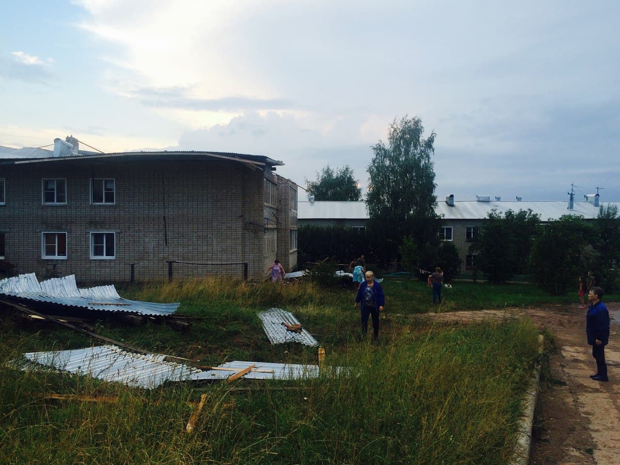  Чудеса природы: сломанное ветром дерево упало между двумя припаркованными авто