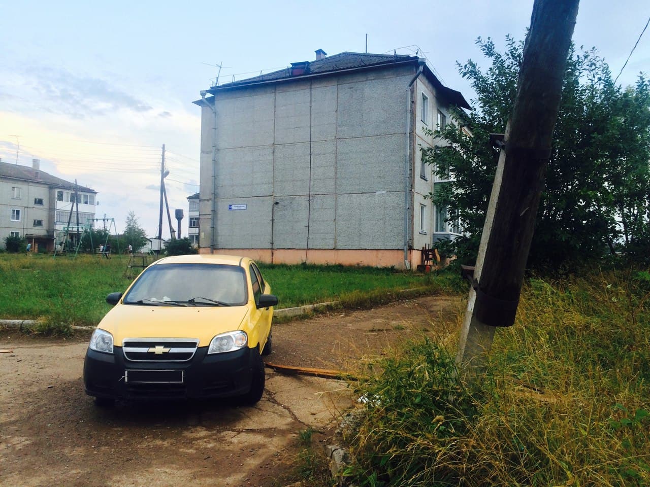 Чудеса природы: сломанное ветром дерево упало между двумя припаркованными авто