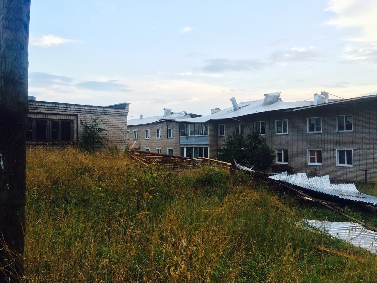  Чудеса природы: сломанное ветром дерево упало между двумя припаркованными авто