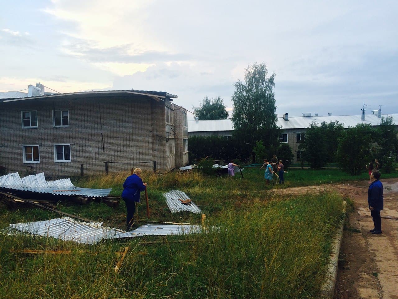  Чудеса природы: сломанное ветром дерево упало между двумя припаркованными авто