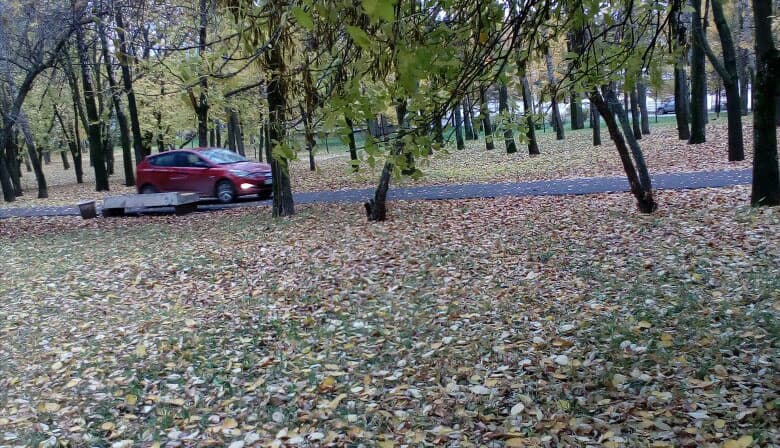 По аллее у цирка проехал автомобиль