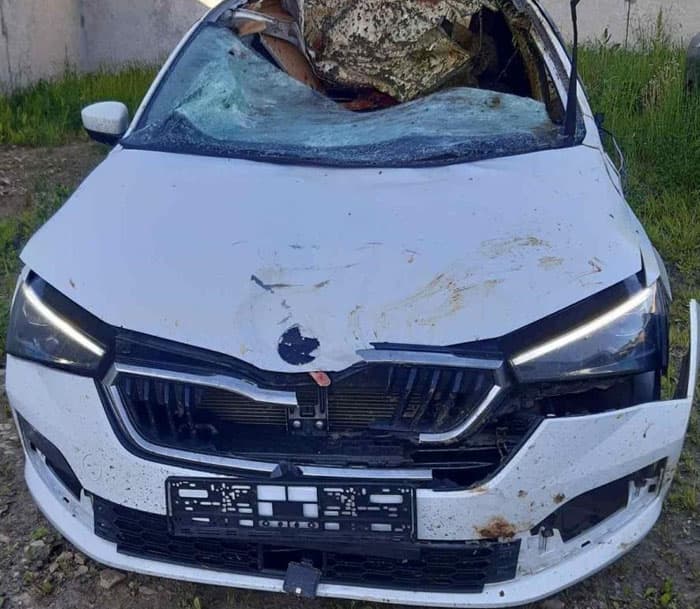 В Кировской области водитель иномарки сбил лося: трое человек пострадали