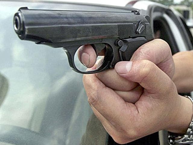 Полицейским пришлось выстрелить, чтобы остановить нетрезвого водителя