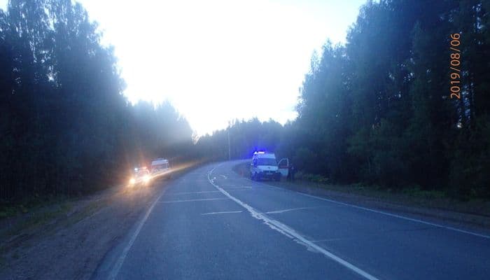 В Кирово-Чепецком районе мужчина на «Логане» улетел в кювет и погиб