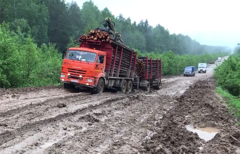 «Проехать можно только на тракторе»: когда дороги в Лузском районе восстановят