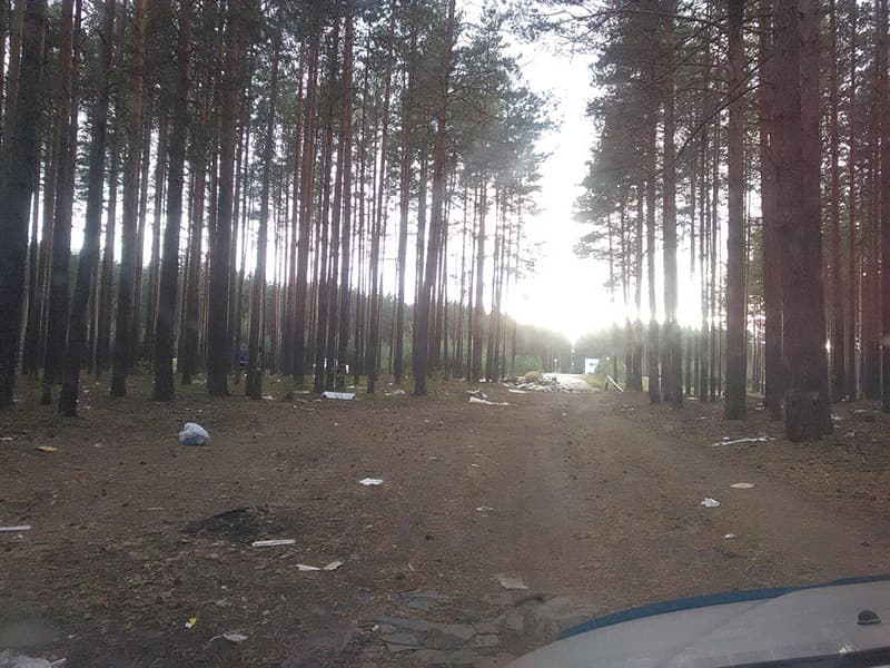 Месяц на уборку свалки. Лесхоз прибрался в лесу на «подгорянке»