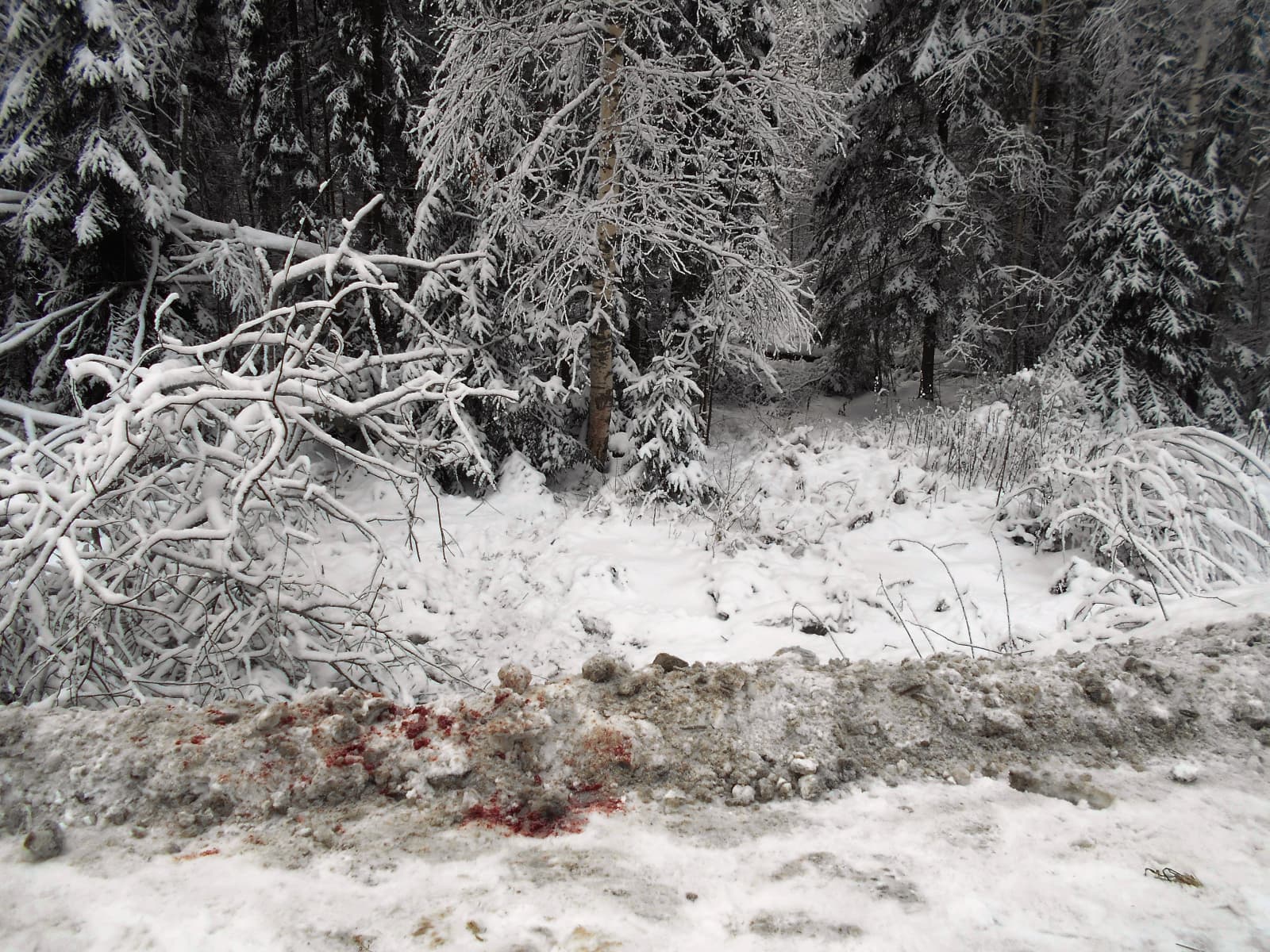 Пьяный пассажир зарезал таксиста на трассе Киров – Советск 