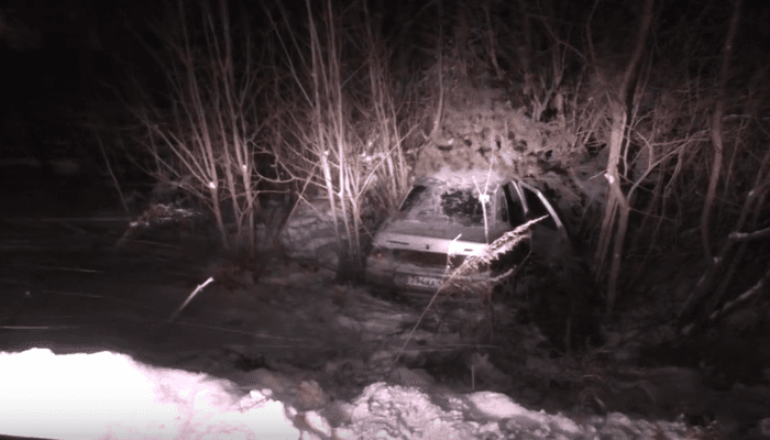 Пьяный бесправник на “десятке” уходя от погони, вылетел в кювет, впоследствии срубив ёлку