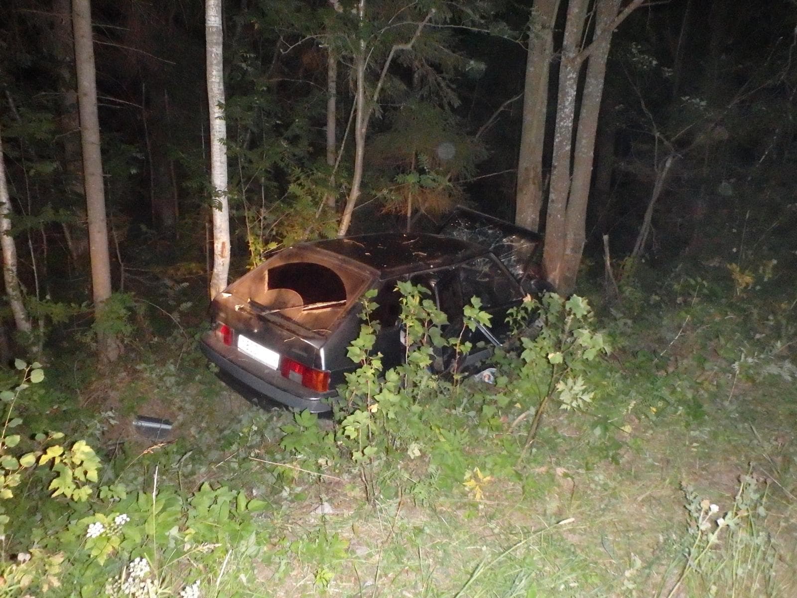 Пьяный на ВАЗе с двумя пассажирами врезался в дерево