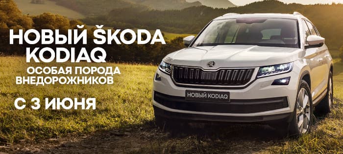 Увидеть. Узнать. Почувствовать. 