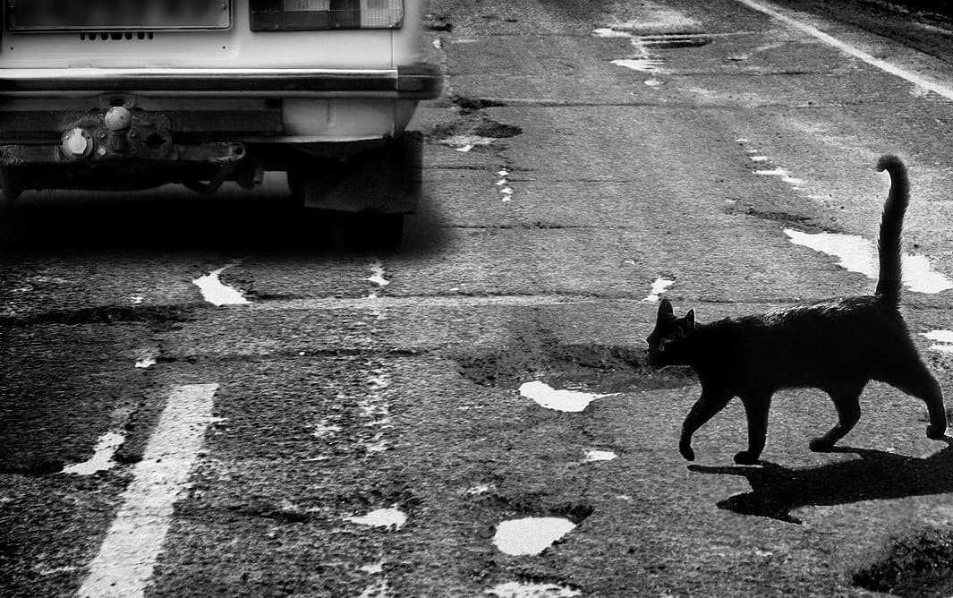 Вестники аварий и сотрудников ДПС: самые распространенные суеверия водителей