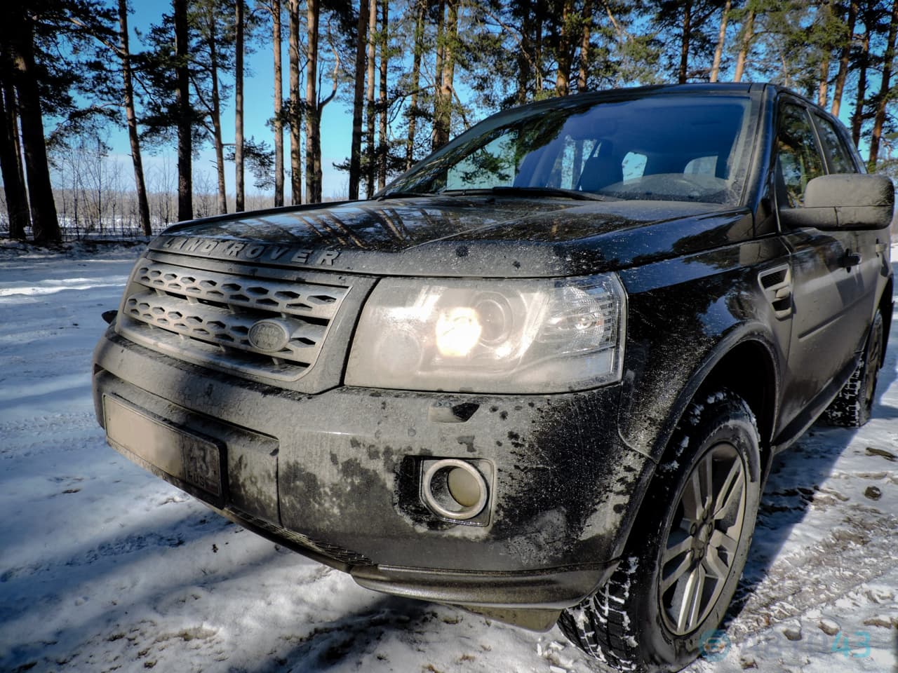 Тест драйв Land Rover Freelander II: спасибо, но я сам проложу дорогу