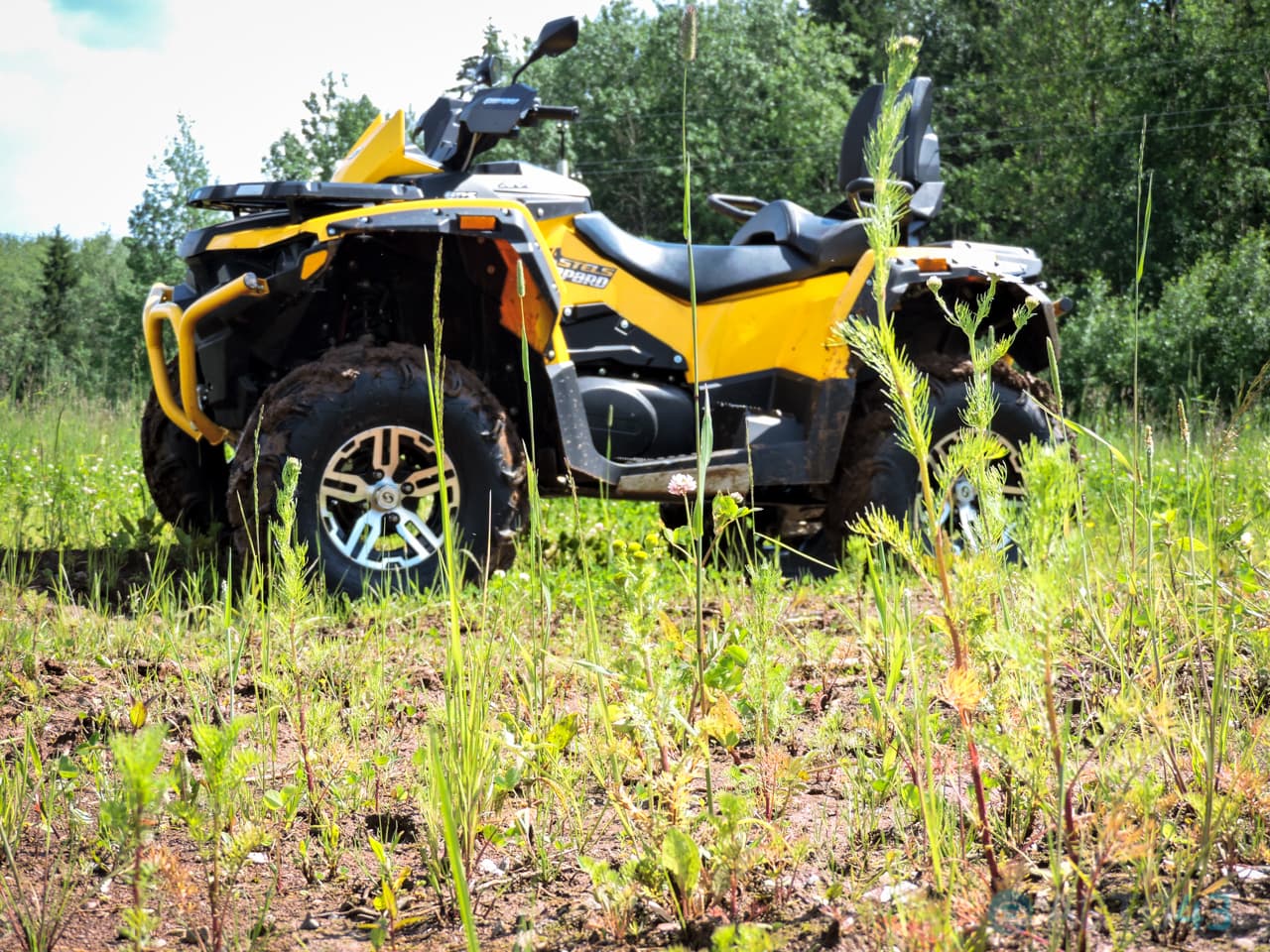 Тест-драйв Stels Guepard 800: когда отношение к бездорожью другое