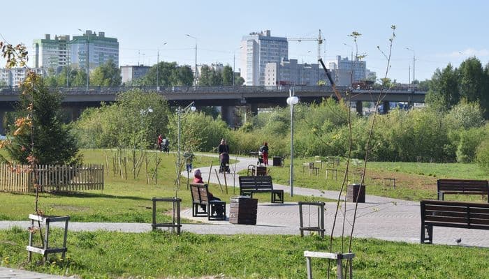 Шульгин рассматривает возможность строительства надземного перехода возле путепровода