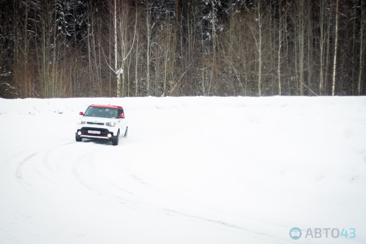 Выпустили всех коней. «Гусары» обкатали автополигон